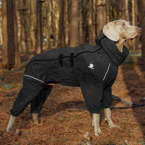 Winter Jacket for Dogs - Picture 3 of 8